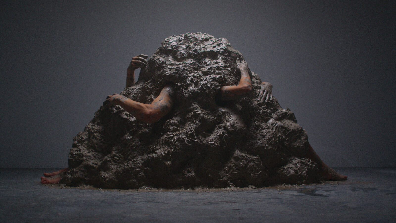 Image gallery 'The New Flesh' by William Cobbing