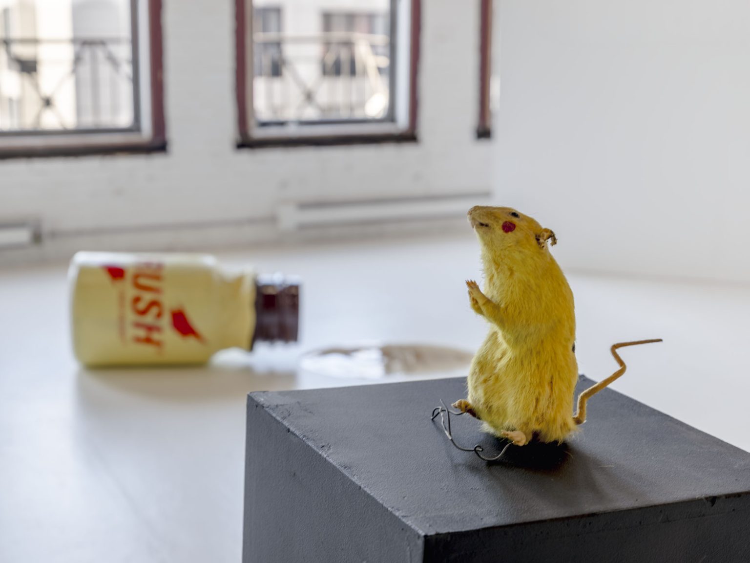 Image gallery SUPER RAT by Chim↑Pom – installation view