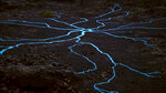 Drawings of the Latent Crust: Network of Natural Intelligence by Isabel Merchante