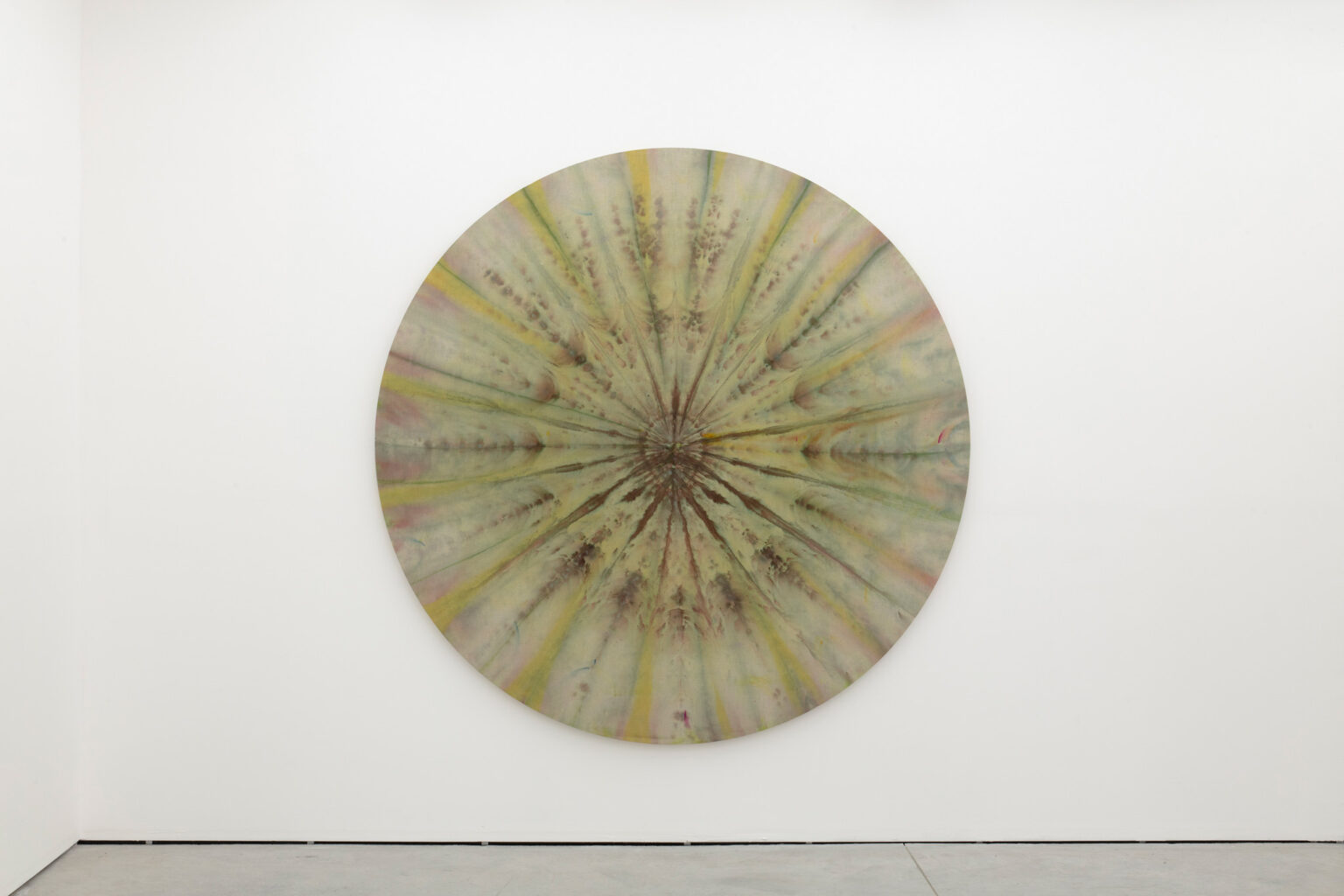 Image gallery Unfurled by Noah Barker