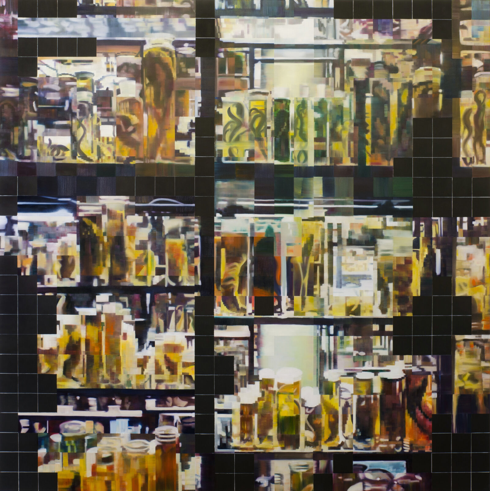 The Wet Collections by Enda O'Donoghue