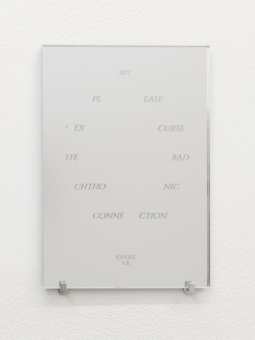 View featured artwork Echo Curse XXV by Hanne Lippard