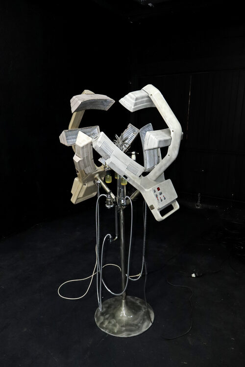 View featured artwork e-xalting grove thriving for the days ahead by Lucca Cora Süss