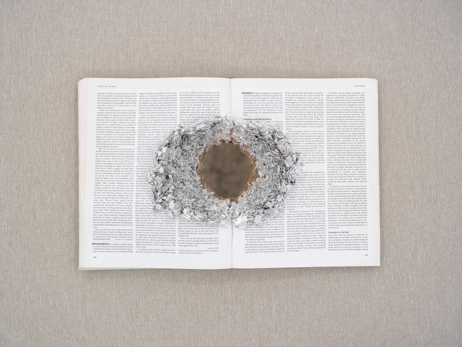 Topography of collapse by Nicolás Lamas – installation view