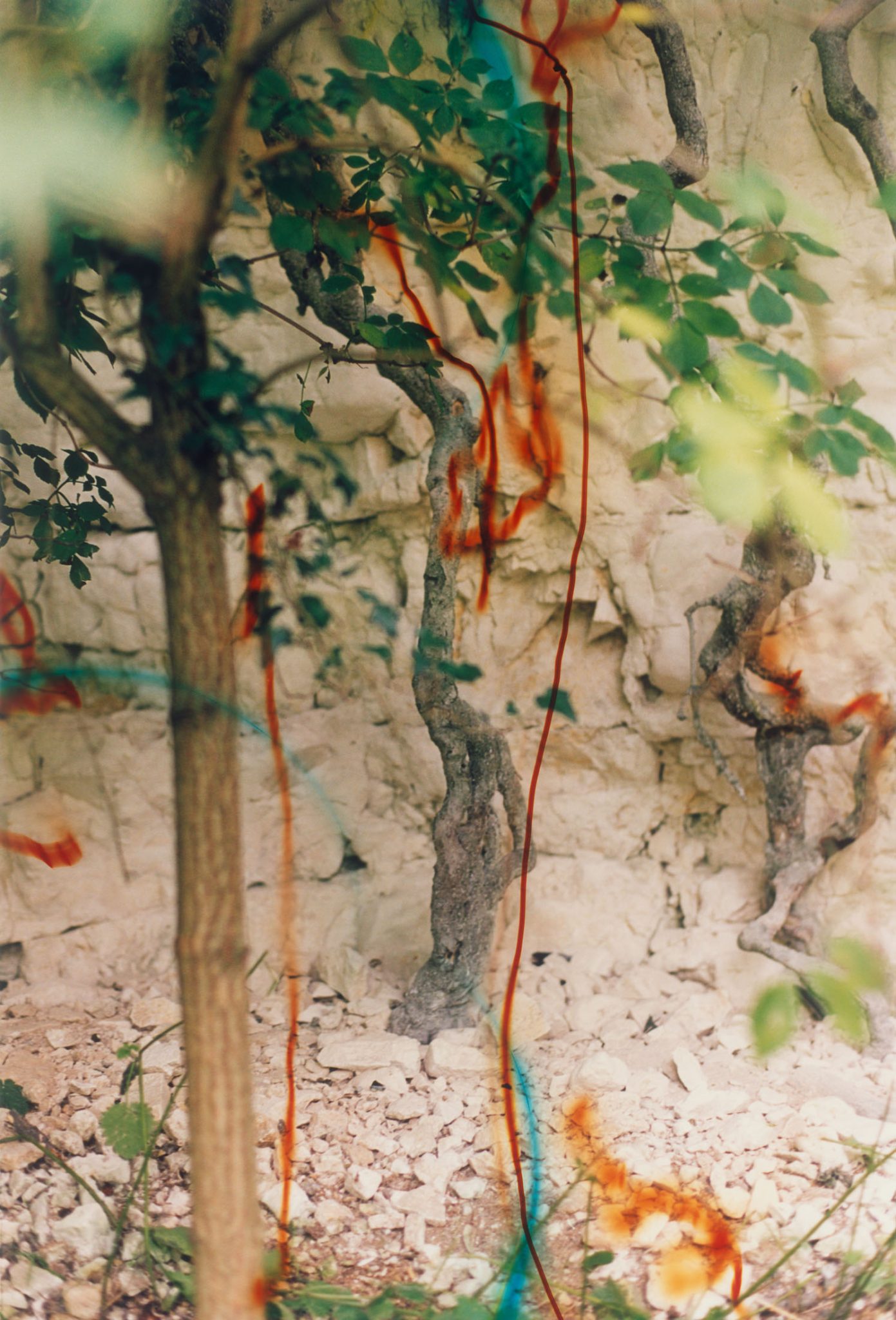 Image gallery Quarry by Wolfgang Tillmans