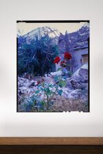 View artwork