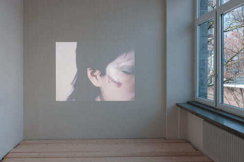 View featured artwork Guerrillere Talks by Vivienne Dick