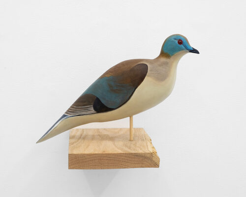 View featured artwork Decoy by Scott Rogers