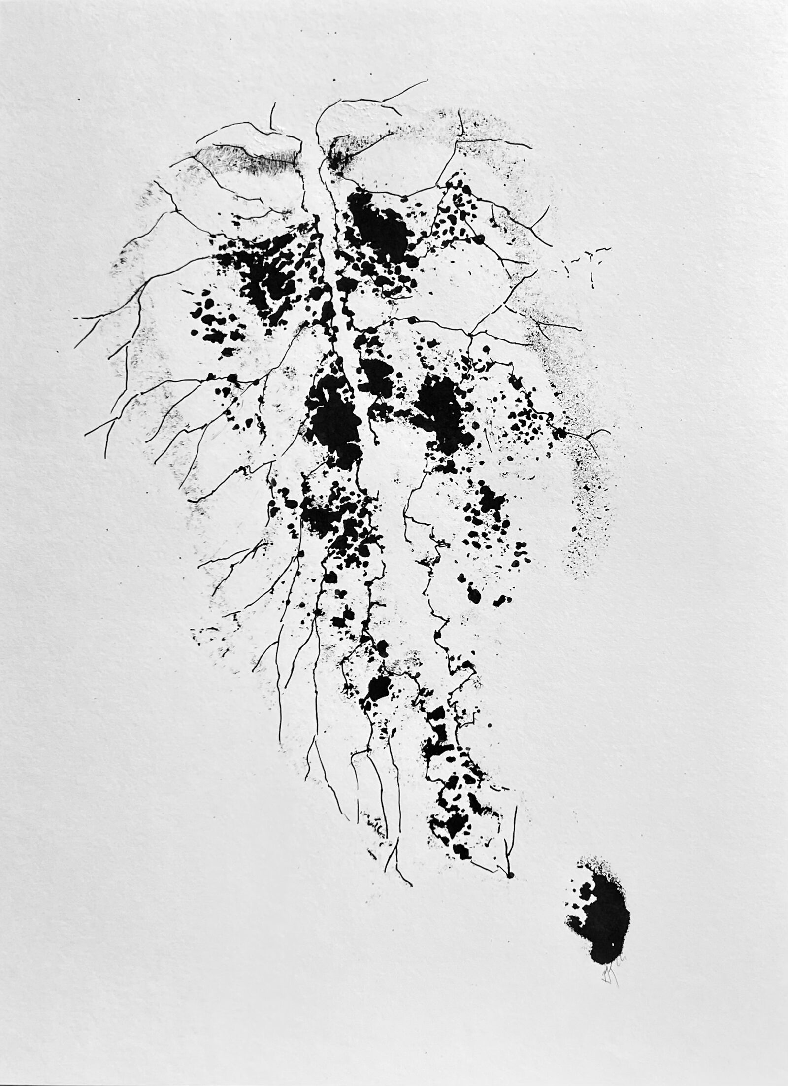 Image gallery Parasites by Imke Kreiser