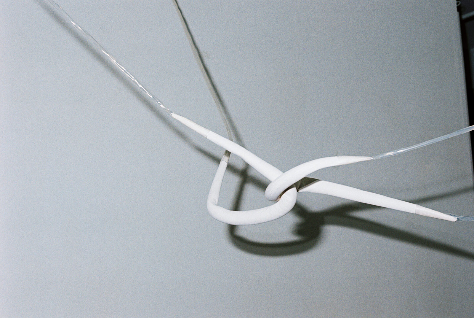 Wetwarp by Kristin Reger