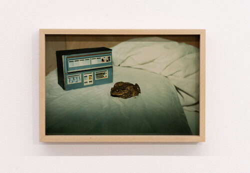 View featured artwork Night Visitor by Jack Burton