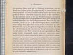 warm data (Alternaten, p. 28) by Sinaida Michalskaja – detail view