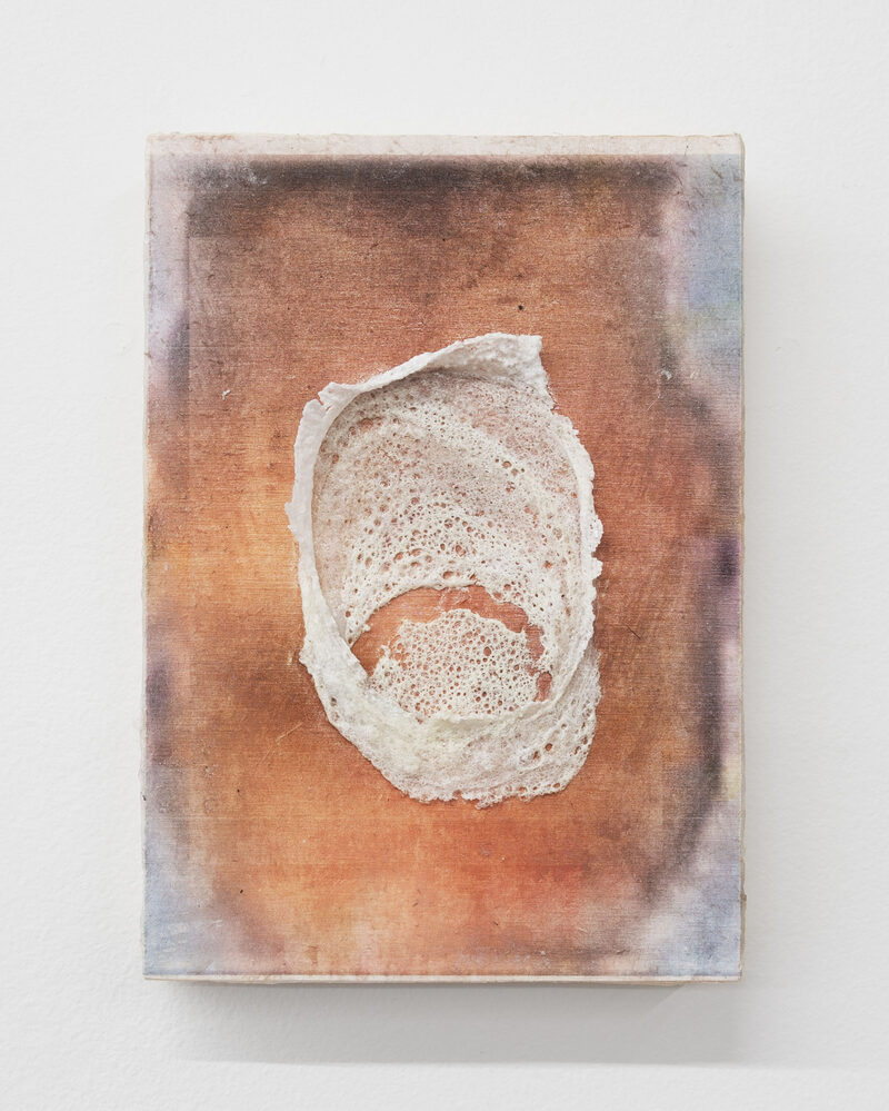 Featured artwork Sipper’s Price III by Allen-Golder Carpenter
