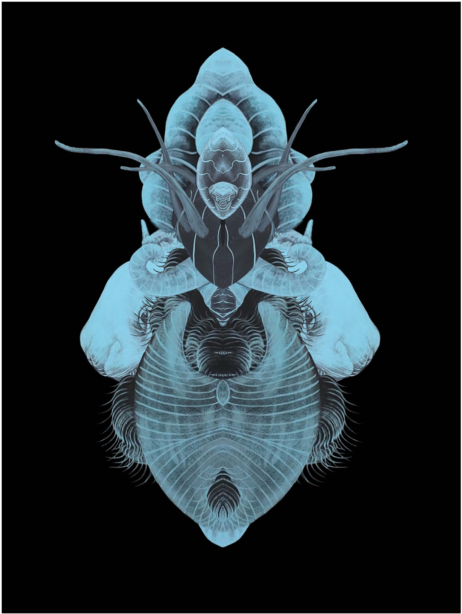 Image gallery Symmetries VI by Laura Arminda Kingsley