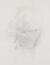 Spinoza by Deshaun Price