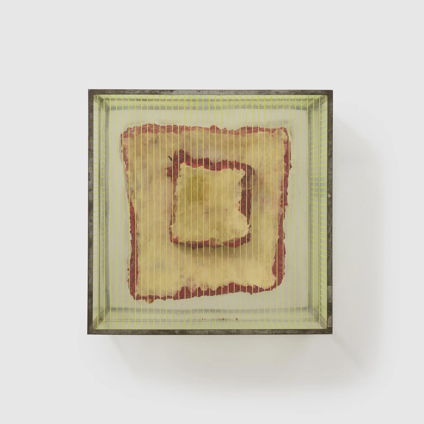 Untitled (Blond Meat Piece) from the series "Technological Reliquaries" by Paul Thek
