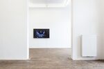 Animator by Asta Lynge – installation view