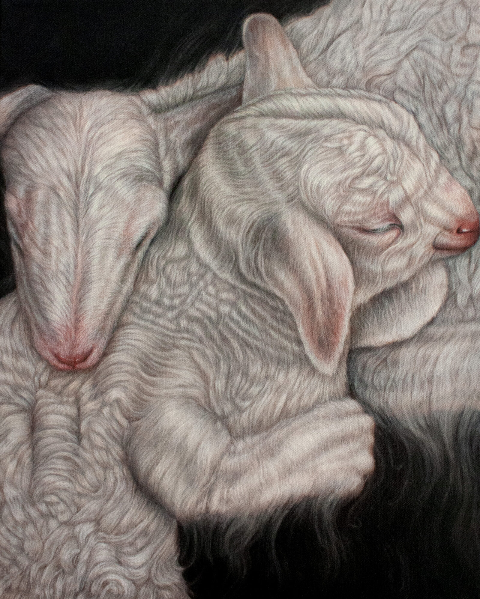 After The Cold by Adelle Rawluk