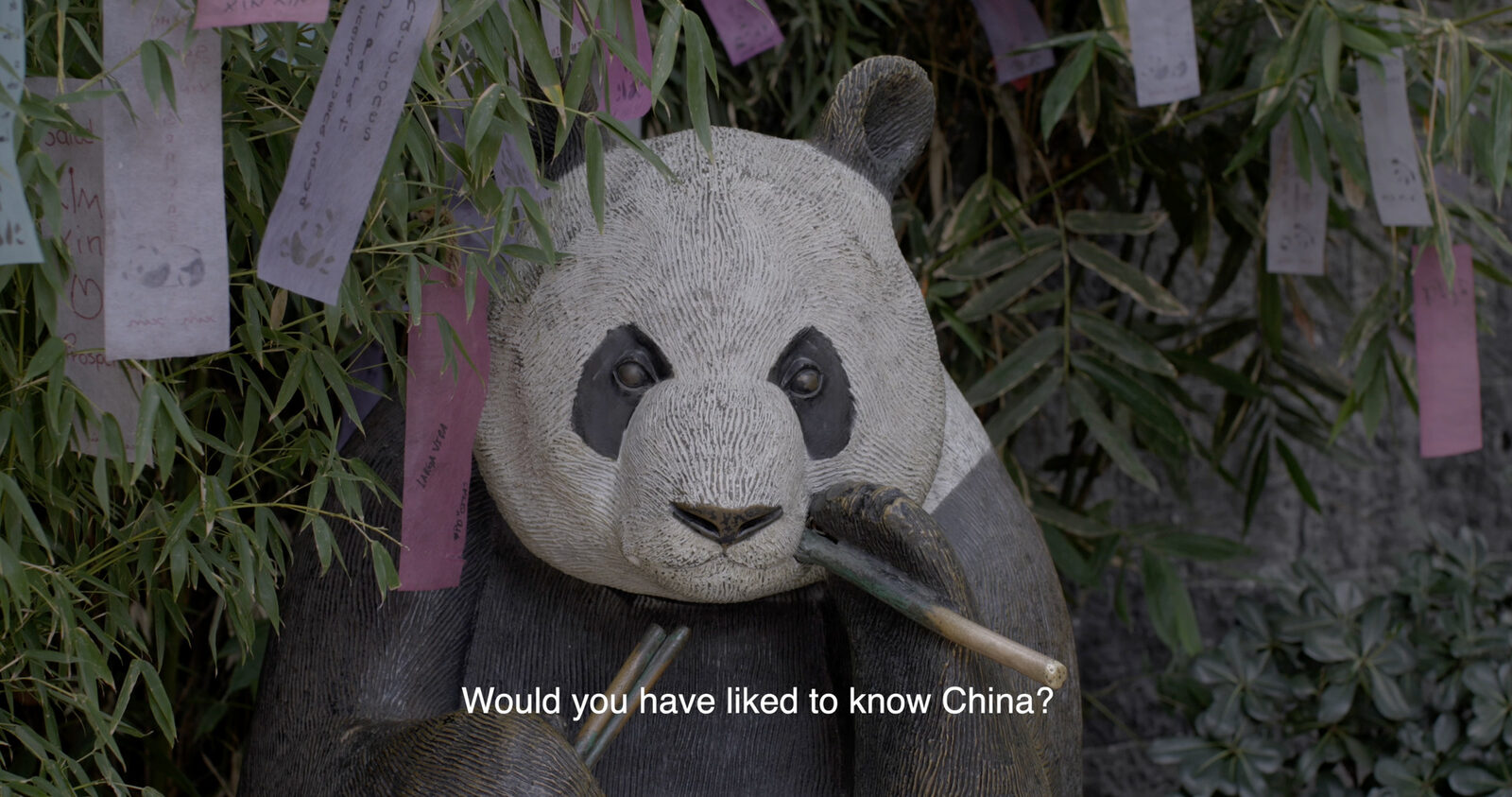 Love Letters to Xin Xin by Chantal Peñalosa Fong