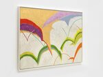 Fields of Light by Ce Roser – installation view