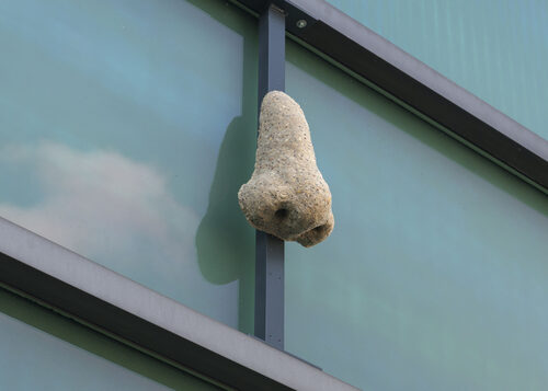 View featured artwork Self-Portrait As My Father's Nose by Ian Waelder