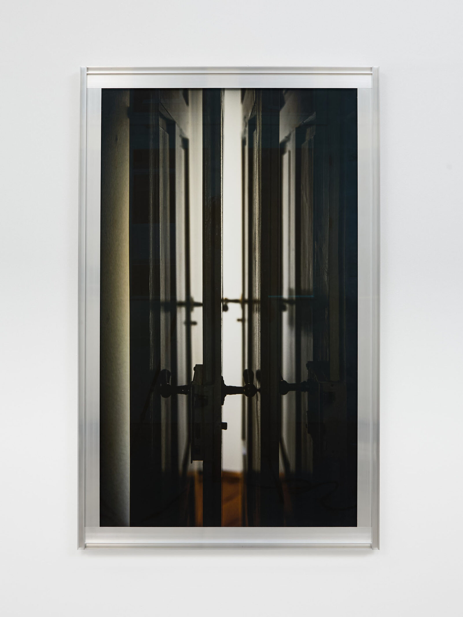 Through the Looking Door by Ilona Ruegg