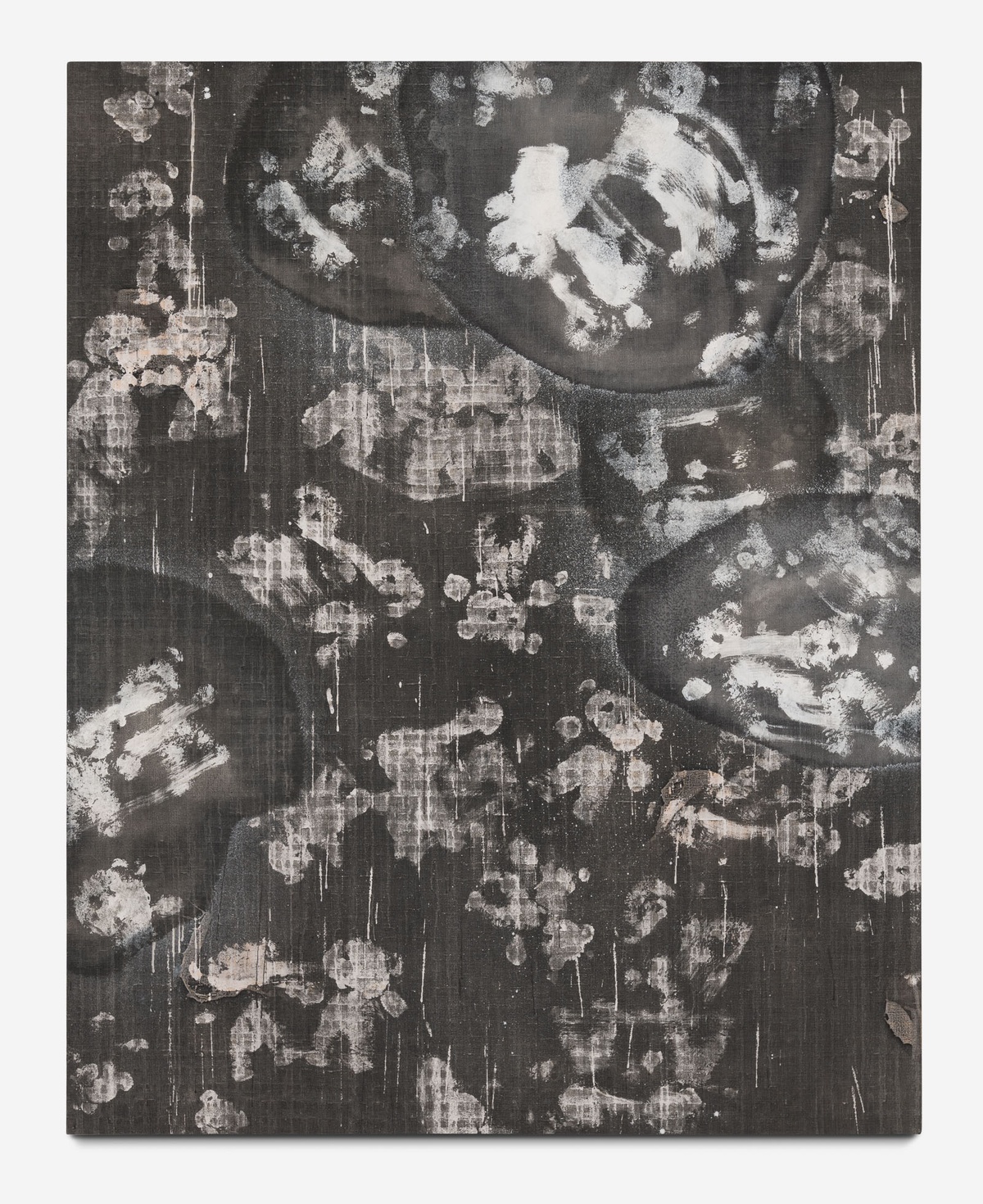 the world as will and illusion by Lukas Quietzsch