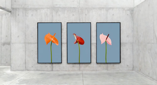 View featured artwork Anthurium: Transmutations by Aleksandra Cegielska