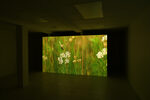 Long-Haul Flowers by Michael Assiff