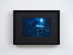 本命年 by Ann Zhao – detail view