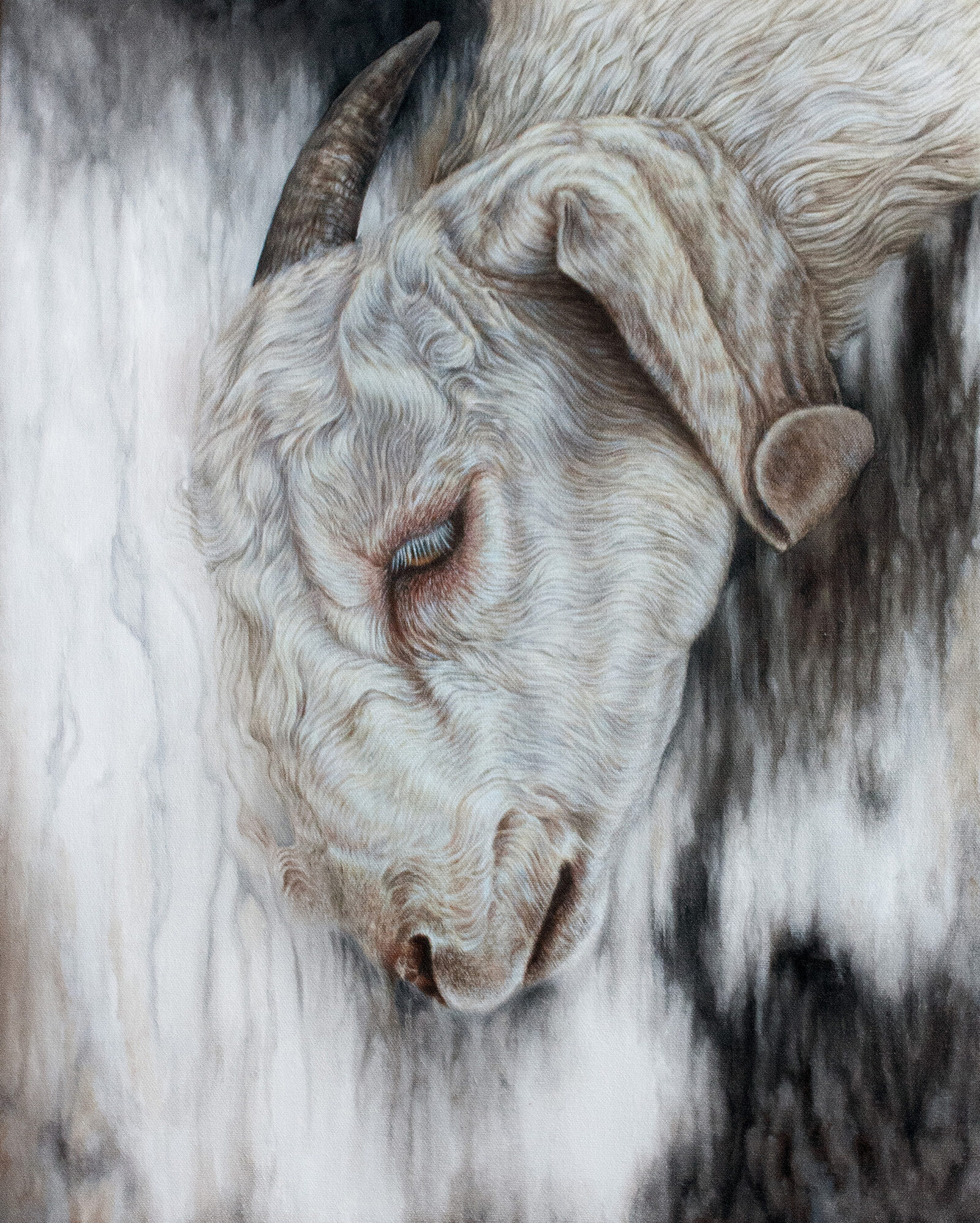 Frost by Adelle Rawluk