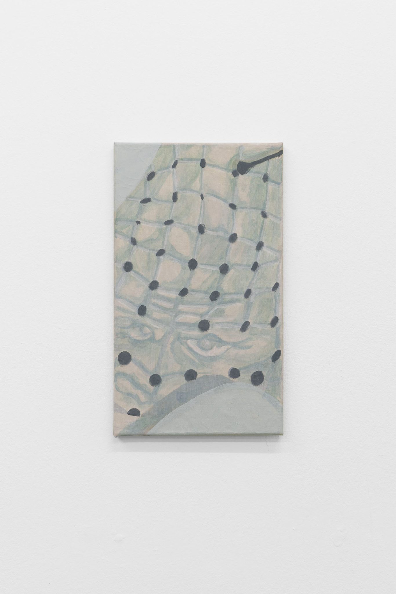 Image gallery Untitled (Animation) by David Gruber