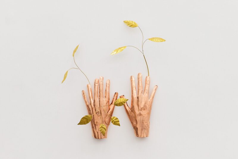 Featured artwork Dafnomancia by Blanca Gracia