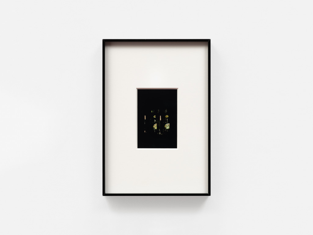 Anything You Need (Crass) by Megan Plunkett