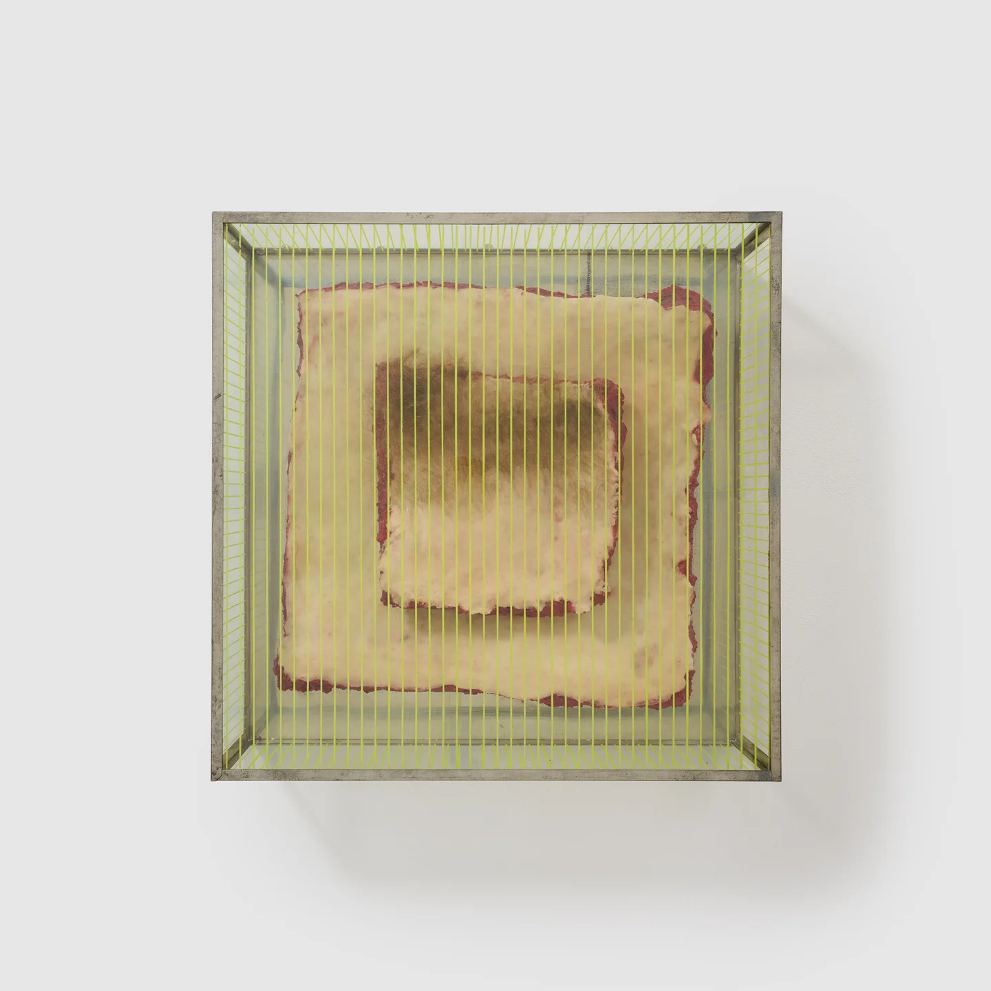 Untitled (from the series "Technological Reliquares") by Paul Thek