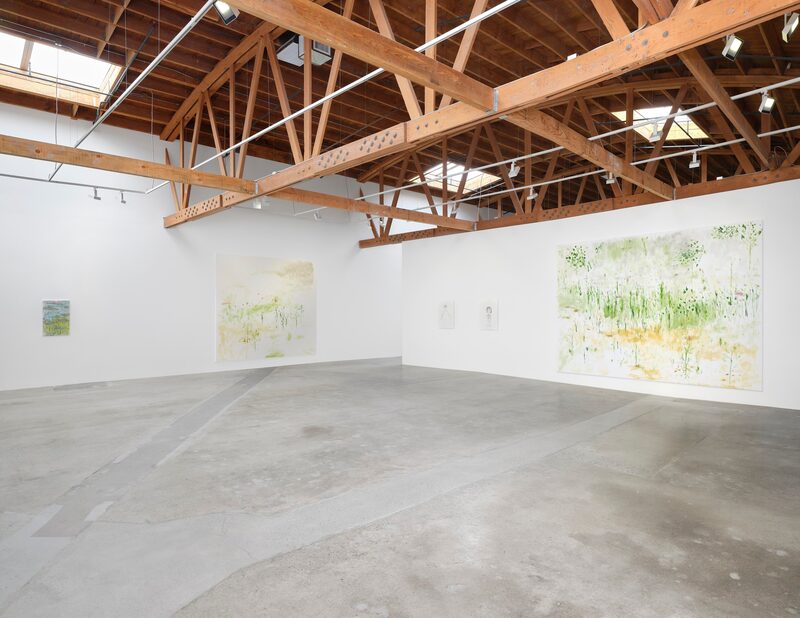 Trevor Shimizu