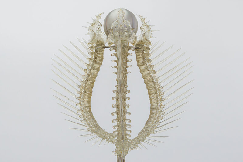 Vessels of Unbecoming