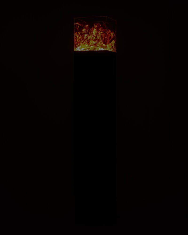 INNER : LICHT