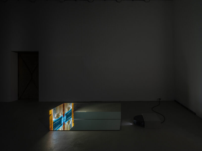 Confusion model into a butterfly