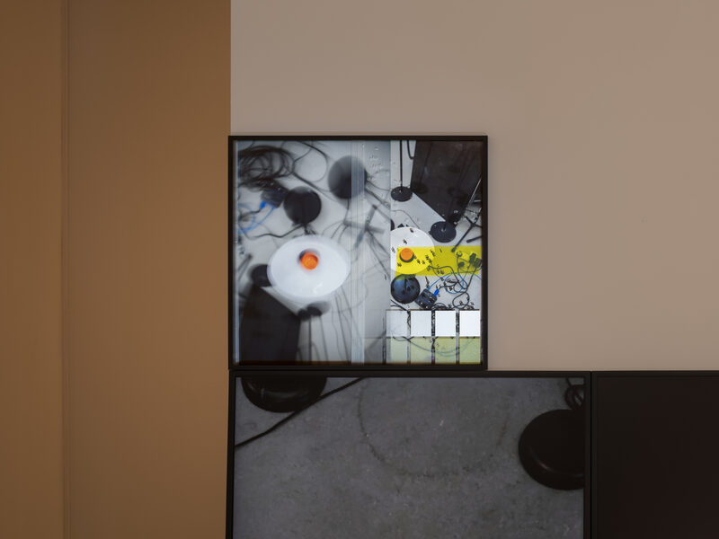 Daria Blum: HOME SCREEN