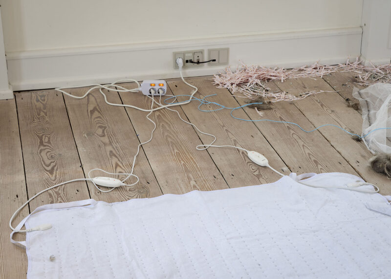 Elena Narbutaitė, Jason Dodge