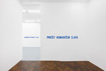 LAWRENCE WEINER: IN RELATION TO PROBABLE USE
