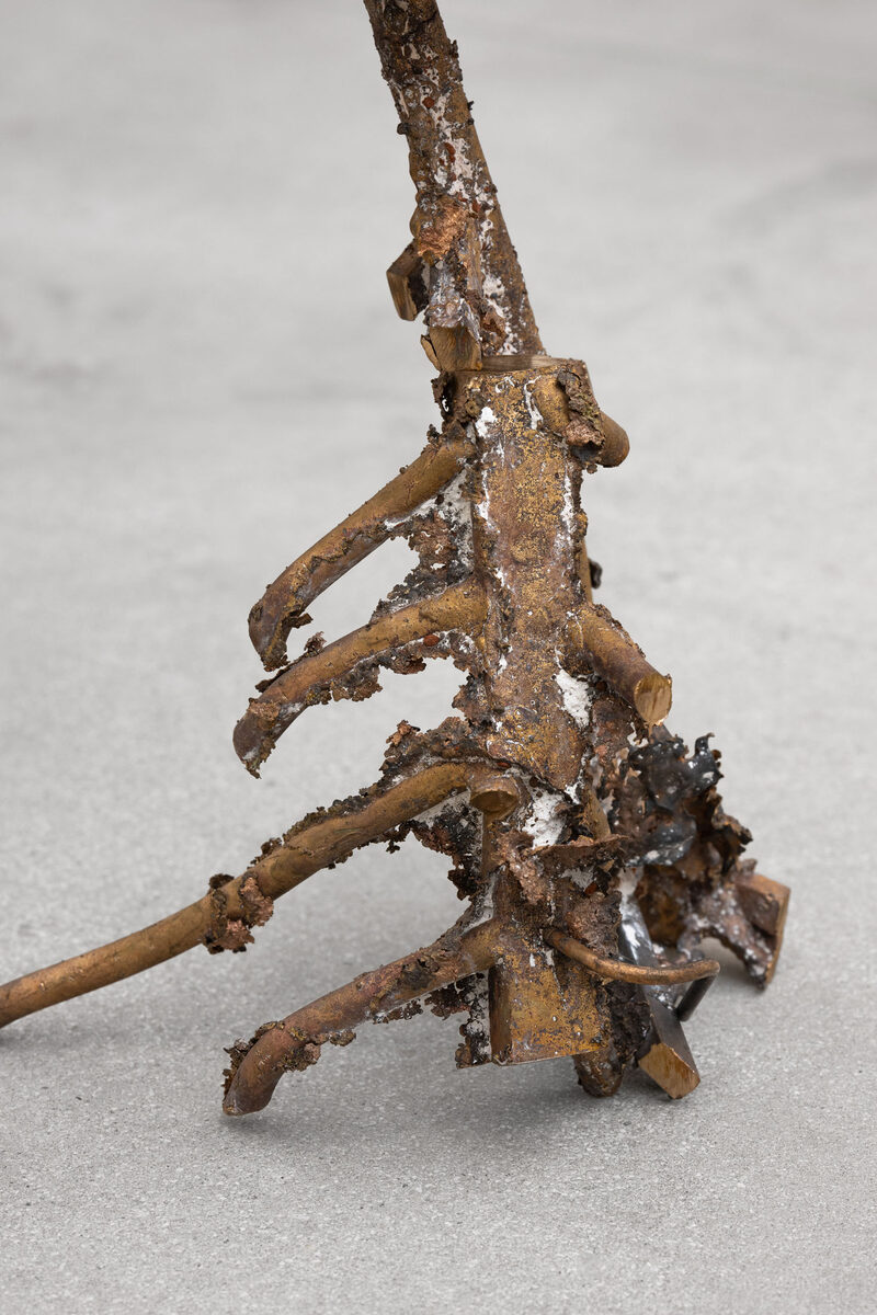 Old Snag