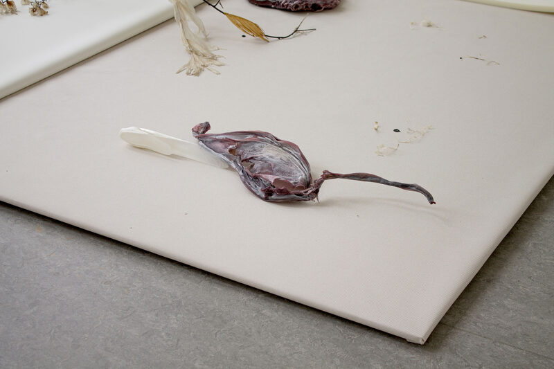 Withering into breath, wetness undoes itself