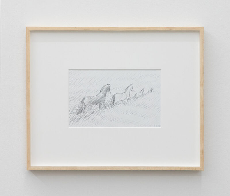 Grasslands