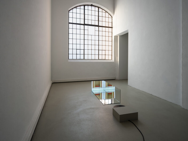 Confusion model into a butterfly