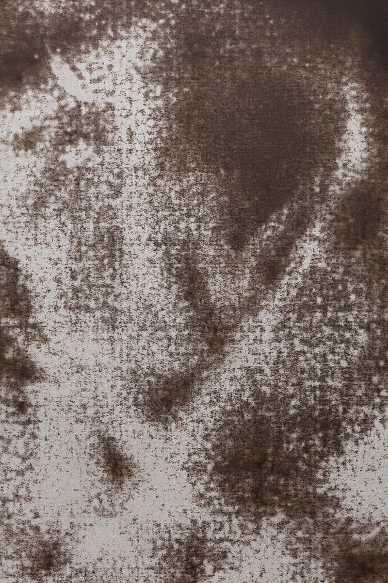 Botteghe Oscure
