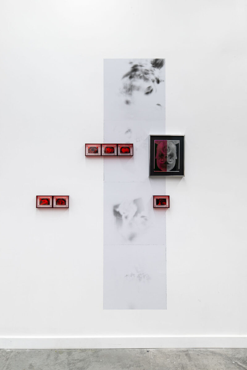 for that gob casts the image