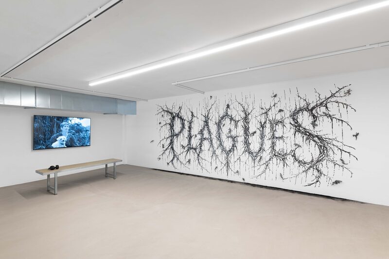 Plagues