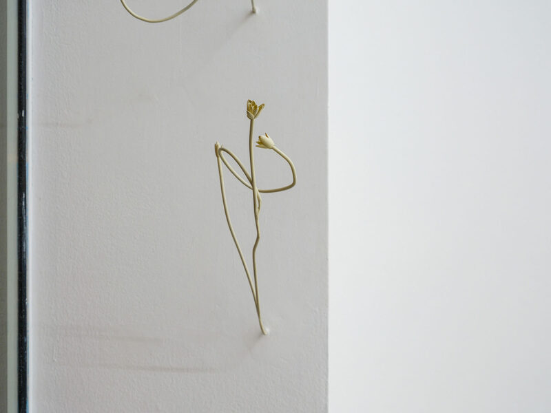 Odyssea: Le sel de la terre